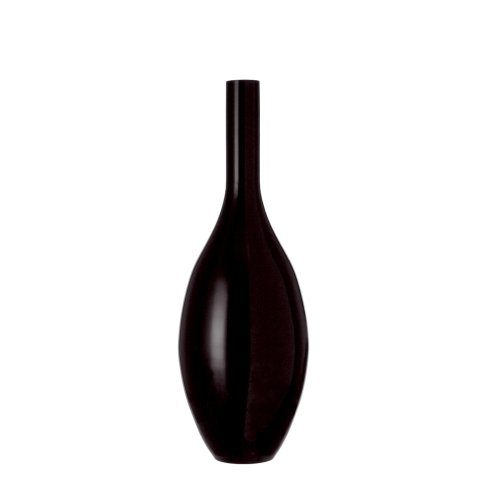 Leonardo-52457-Vase-65cm-schwarz-Beauty-0 Leonardo-52457-Vase-65cm-schwarz-Beauty-0