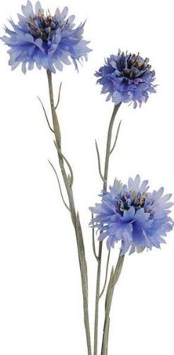 109-0020-580-Kornblumen-58-cm-6-Stck-Seidenblumen-0 109-0020-580-Kornblumen-58-cm-6-Stck-Seidenblumen-0