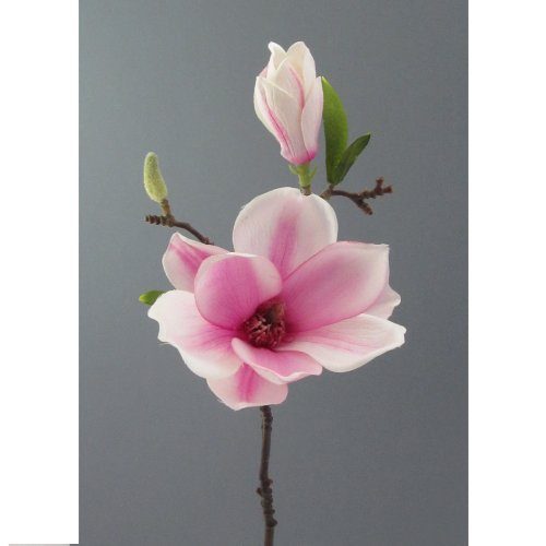 Kunstblume-Magnolie-37-cm.-Mit-Magnolienblüte-und-Knospe.-WEISS-LILA-42-0 Kunstblume-Magnolie-37-cm.-Mit-Magnolienblüte-und-Knospe.-WEISS-LILA-42-0