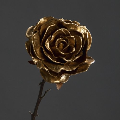 Rose-Rosenstiel-Rosenblüte-Kunstblume-Kunstpflanze-65-cm-gold-0 Rose-Rosenstiel-Rosenblüte-Kunstblume-Kunstpflanze-65-cm-gold-0