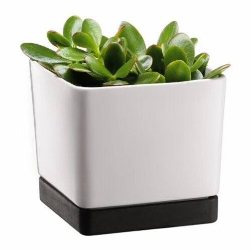 BODUM-POT-Blumentopf-0 BODUM-POT-Blumentopf-0