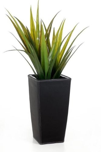 Blumenkbel-Botanlux-Linea-50-cm-mit-Kunstlederbezug-Schwarz-0 Blumenkbel-Botanlux-Linea-50-cm-mit-Kunstlederbezug-Schwarz-0