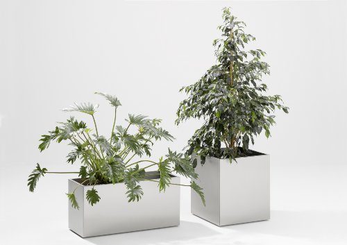 Jan-Kurtz-470806-Edelstahl-bertopf-mit-Rollen-55cm-hoch-50x50-cm-zerlegt-im-Karton-wetterfest-0 Jan-Kurtz-470806-Edelstahl-bertopf-mit-Rollen-55cm-hoch-50x50-cm-zerlegt-im-Karton-wetterfest-0