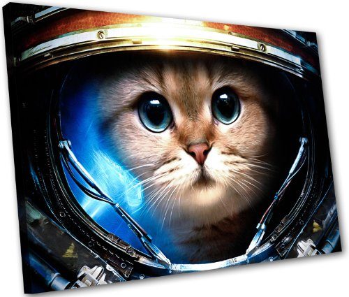 Katze-als-Raynor-in-100x70cm-Bilder-Kunstdrucke-auf-Leinwand-in-erstklassiger-Druckqualitt-schon-fertig-aufgespannt-KEIN-Poster-oder-Plakat-0 Katze-als-Raynor-in-100x70cm-Bilder-Kunstdrucke-auf-Leinwand-in-erstklassiger-Druckqualitt-schon-fertig-aufgespannt-KEIN-Poster-oder-Plakat-0