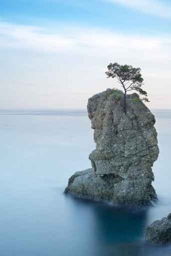 Luxus-Leinwandbild-Lonesome-Tree-Baum-6090-cm-Galeriequalitt-Einzelanfertigung-0 Luxus-Leinwandbild-Lonesome-Tree-Baum-6090-cm-Galeriequalitt-Einzelanfertigung-0