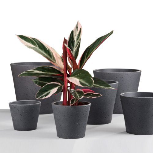 Scheurich-Pflanzgef-701-Roca-21-cm-0 Scheurich-Pflanzgef-701-Roca-21-cm-0