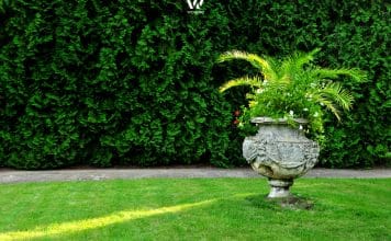 Gepflegter aber nicht steriler Garten