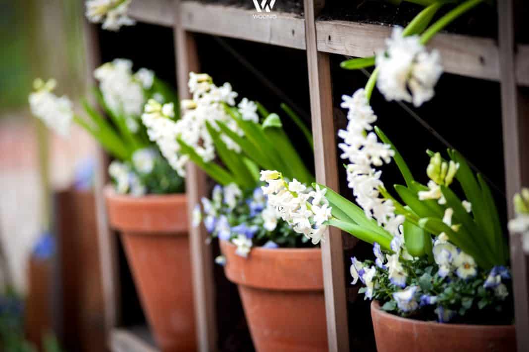 Gartengestaltung_Gartenideen_38