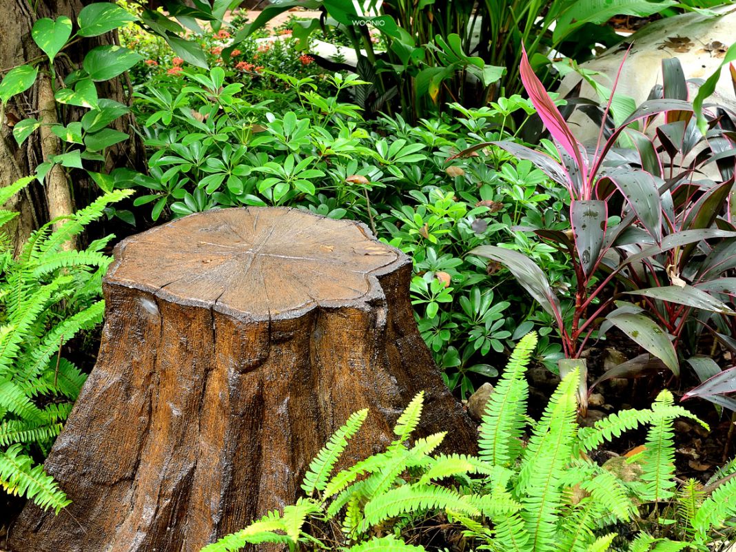 Gartengestaltung_Gartenideen_68