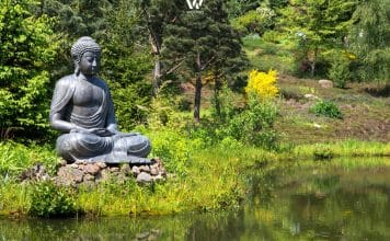 Ein einsamer indischer Buddha am Teich