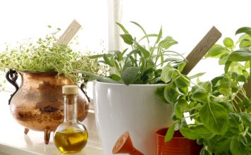 Absolut natürliches Fensterbrett mit leckeren Gewürzen