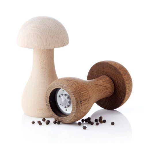 applicata-Funghi-Gewrzmhle-Buche-natur-0 applicata-Funghi-Gewrzmhle-Buche-natur-0