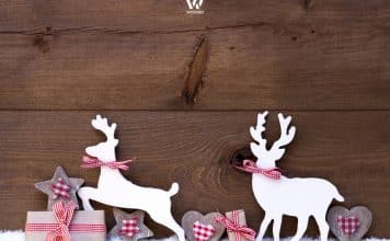 Die Renpferde sind die wahren Stars von Weihnachten