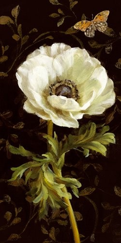 Acrylglasbild-Jardin-Paris-Florals-I-von-Danhui-Nai-110-x-220cm-Motiv-bis-an-die-Kanten-Kunstdruck-Poster-Malerei-Mohnbluete-weisse-Bluete-Blume-Schmetterling-florales-Muster-Tapetenm-hochwertige-Fert-0