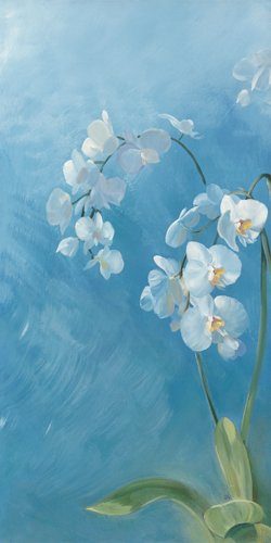 Acrylglasbild-Phalaenopsis-Fontaine-I-von-Sylvie-Vernageau-110-x-220cm-Motiv-bis-an-die-Kanten-Kunstdruck-Poster-hochwertige-Fertigung-Art-Galerie-Shop-0 Acrylglasbild-Phalaenopsis-Fontaine-I-von-Sylvie-Vernageau-110-x-220cm-Motiv-bis-an-die-Kanten-Kunstdruck-Poster-hochwertige-Fertigung-Art-Galerie-Shop-0