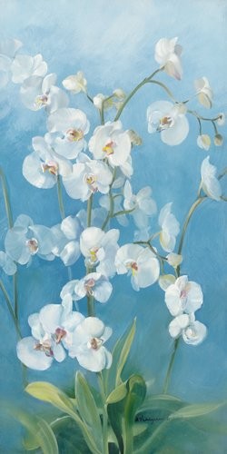 Acrylglasbild-Phalaenopsis-Fontaine-II-von-Sylvie-Vernageau-110-x-220cm-Motiv-bis-an-die-Kanten-Kunstdruck-Poster-hochwertige-Fertigung-Art-Galerie-Shop-0 Acrylglasbild-Phalaenopsis-Fontaine-II-von-Sylvie-Vernageau-110-x-220cm-Motiv-bis-an-die-Kanten-Kunstdruck-Poster-hochwertige-Fertigung-Art-Galerie-Shop-0