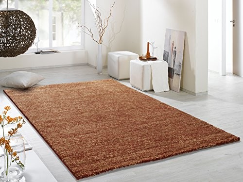 COSINESS-LEAK-moderner-Designer-Teppich-in-kupfer-Gre-240x340-cm-0 COSINESS-LEAK-moderner-Designer-Teppich-in-kupfer-Gre-240x340-cm-0
