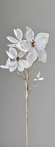Formano-Magnolie-Magnolienzweig-matt-creme-gold-593917-Magnolien-Zweig-matt-0 Formano-Magnolie-Magnolienzweig-matt-creme-gold-593917-Magnolien-Zweig-matt-0