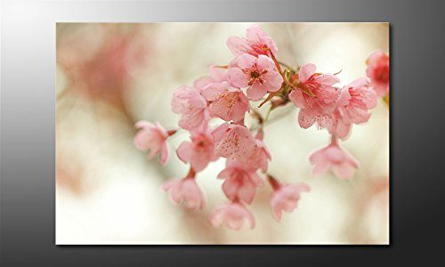 WandbilderXXL-Gedrucktes-Leinwandbild-Cherry-Blossoms-120x80cm-in-6-verschiedenen-Gren-Fertig-gespannt-auf-Holzkeilrahmen-Gnstige-Leinwanddrucke-fr-Kinderzimmer-Schlafzimmer-0 WandbilderXXL-Gedrucktes-Leinwandbild-Cherry-Blossoms-120x80cm-in-6-verschiedenen-Gren-Fertig-gespannt-auf-Holzkeilrahmen-Gnstige-Leinwanddrucke-fr-Kinderzimmer-Schlafzimmer-0