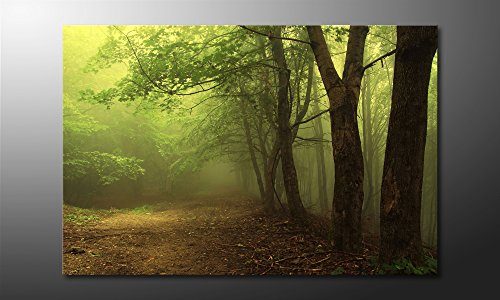 WandbilderXXL-Gedrucktes-Leinwandbild-Green-Forest-120x80cm-in-6-verschiedenen-Gren-Fertig-gespannt-auf-Holzkeilrahmen-Gnstige-Leinwanddrucke-fr-Kinderzimmer-Schlafzimmer-0 WandbilderXXL-Gedrucktes-Leinwandbild-Green-Forest-120x80cm-in-6-verschiedenen-Gren-Fertig-gespannt-auf-Holzkeilrahmen-Gnstige-Leinwanddrucke-fr-Kinderzimmer-Schlafzimmer-0