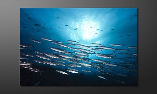 WandbilderXXL-Gedrucktes-Leinwandbild-Shoal-120x80cm-in-6-verschiedenen-Gren-Fertig-gespannt-auf-Holzkeilrahmen-Gnstige-Leinwanddrucke-fr-Kinderzimmer-Schlafzimmer-0 WandbilderXXL-Gedrucktes-Leinwandbild-Shoal-120x80cm-in-6-verschiedenen-Gren-Fertig-gespannt-auf-Holzkeilrahmen-Gnstige-Leinwanddrucke-fr-Kinderzimmer-Schlafzimmer-0