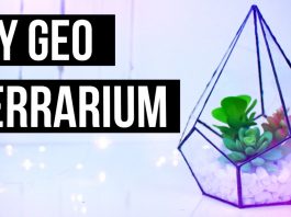 Wir basteln gemeinsam ein geometrisches Terrarium