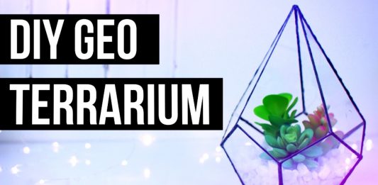 Wir basteln gemeinsam ein geometrisches Terrarium