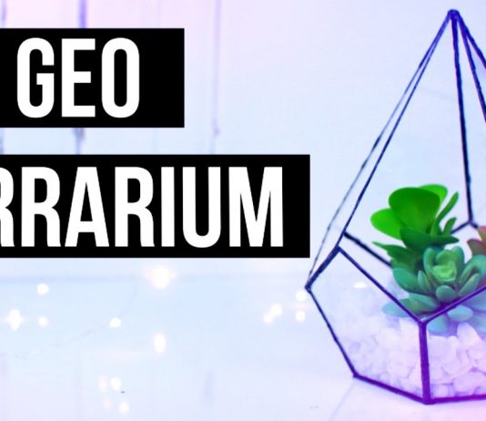 Wir basteln gemeinsam ein geometrisches Terrarium