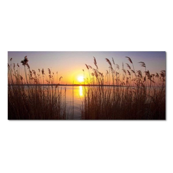 EUROGRAPHICS Deco Panel 115 x 50 cm Purple Sky EUROGRAPHICS Deco Panel 115 x 50 cm Purple Sky