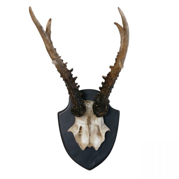HK living Artificial deer antler Kunstgeweih HK living Artificial deer antler Kunstgeweih