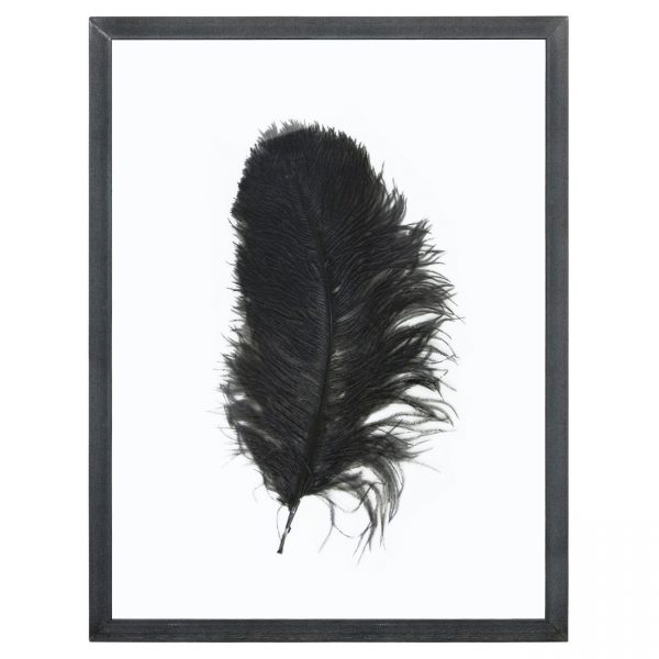 HK living Ostrich feather frame Bilderrahmen HK living Ostrich feather frame Bilderrahmen