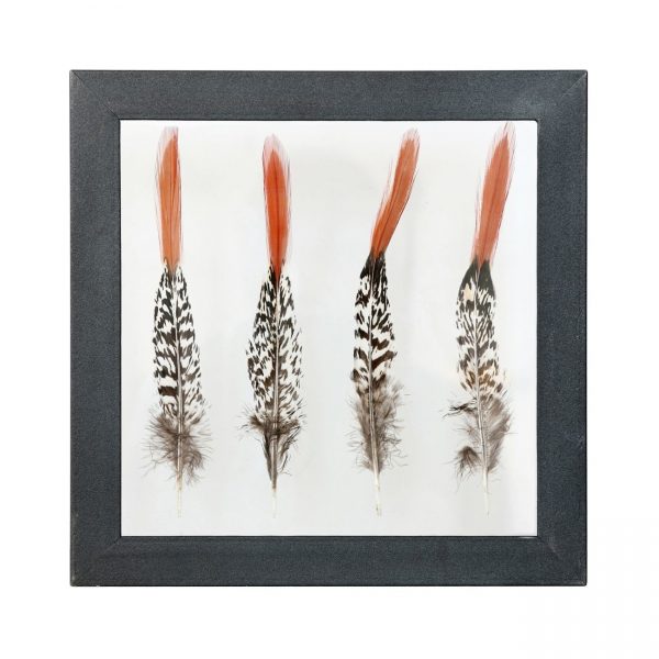 HK living Pheasant feather frame Bilderrahmen HK living Pheasant feather frame Bilderrahmen