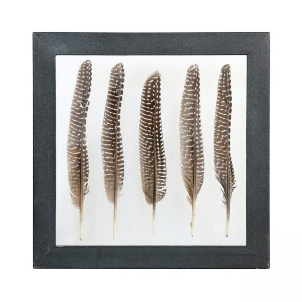 HK living Pheasant feather frame Bilderrahmen HK living Pheasant feather frame Bilderrahmen