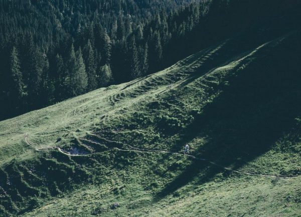 Jours Verts Leinwandbild Jours Verts Leinwandbild