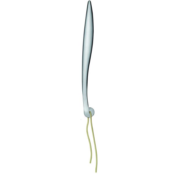Pott - Al Dente Spaghetti-TesterEdelstahl NaturB:21 Pott - Al Dente Spaghetti-TesterEdelstahl NaturB:21