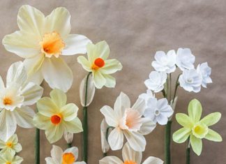 Paper Daffodil Tutorial