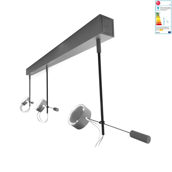 Absolut Lighting - WCF 3er Deckenleuchte Absolut Lighting - WCF 3er Deckenleuchte