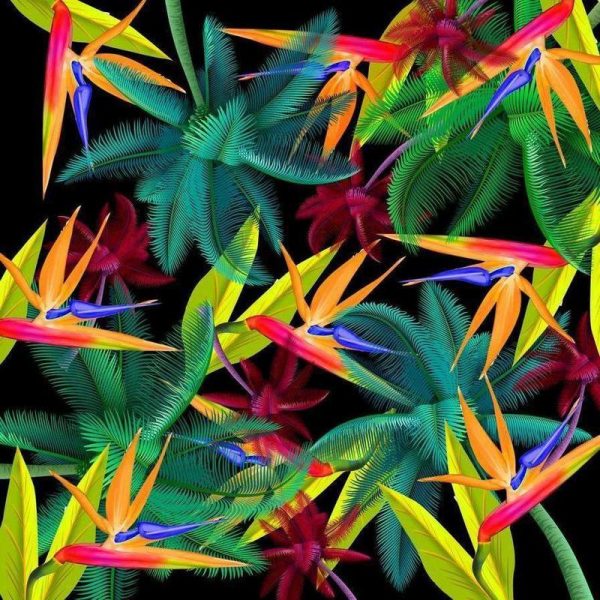 Bird of paradise Leinwandbild Bird of paradise Leinwandbild