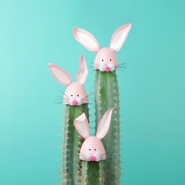 Bunny Cactus Leinwandbild Bunny Cactus Leinwandbild