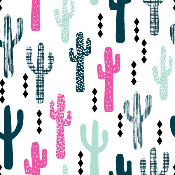 Cactus Magenta Leinwandbild Cactus Magenta Leinwandbild