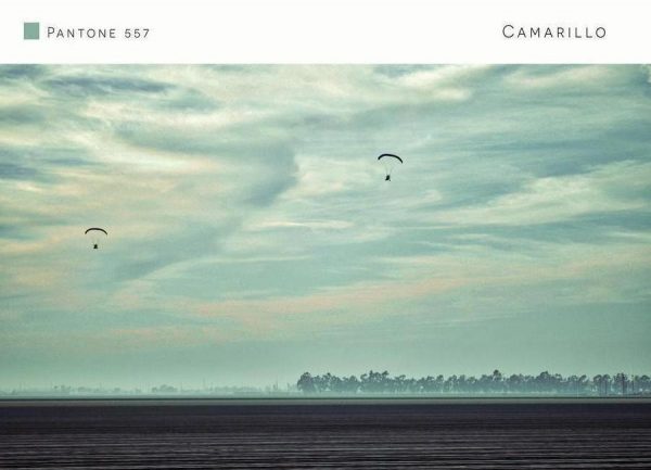 Camarillo Pantone 557 Leinwandbild Camarillo Pantone 557 Leinwandbild