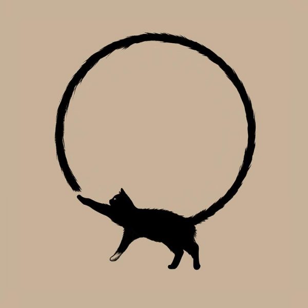 Cat Circle Leinwandbild Cat Circle Leinwandbild