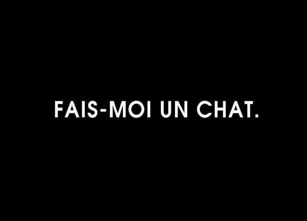 Fais moi un chat Black Leinwandbild Fais moi un chat Black Leinwandbild