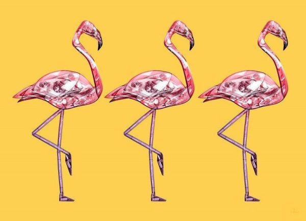 Flamingo Pink Leinwandbild Flamingo Pink Leinwandbild
