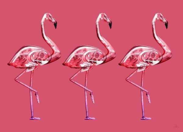 Flamingo Yellow Leinwandbild Flamingo Yellow Leinwandbild