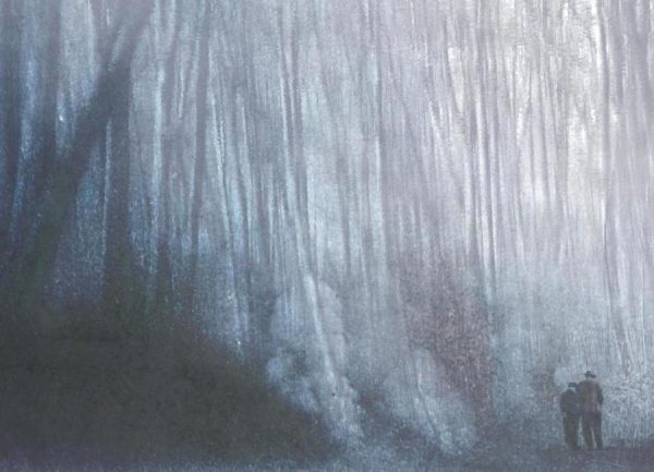 Forrest Leinwandbild Forrest Leinwandbild