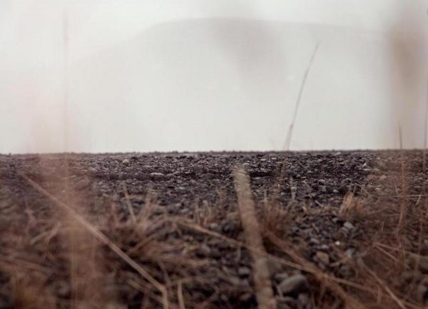 Hiding ground Leinwandbild Hiding ground Leinwandbild