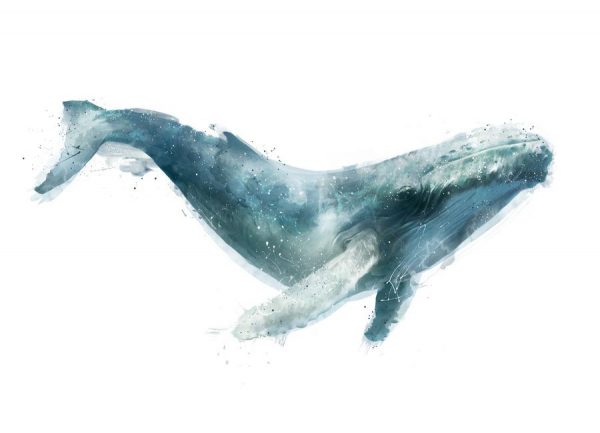 Humpback Whale Leinwandbild Humpback Whale Leinwandbild