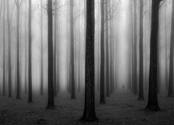 In a fog Jochen Bongaerts Leinwandbild In a fog Jochen Bongaerts Leinwandbild