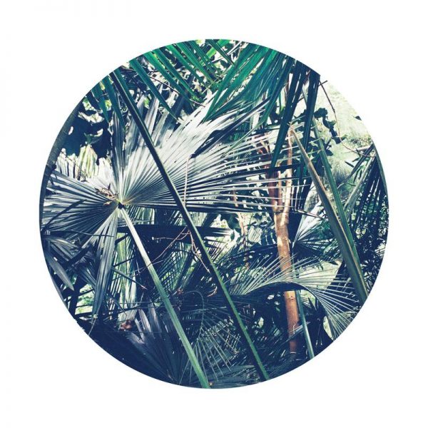 Into the Tropics (Green) Leinwandbild Into the Tropics (Green) Leinwandbild
